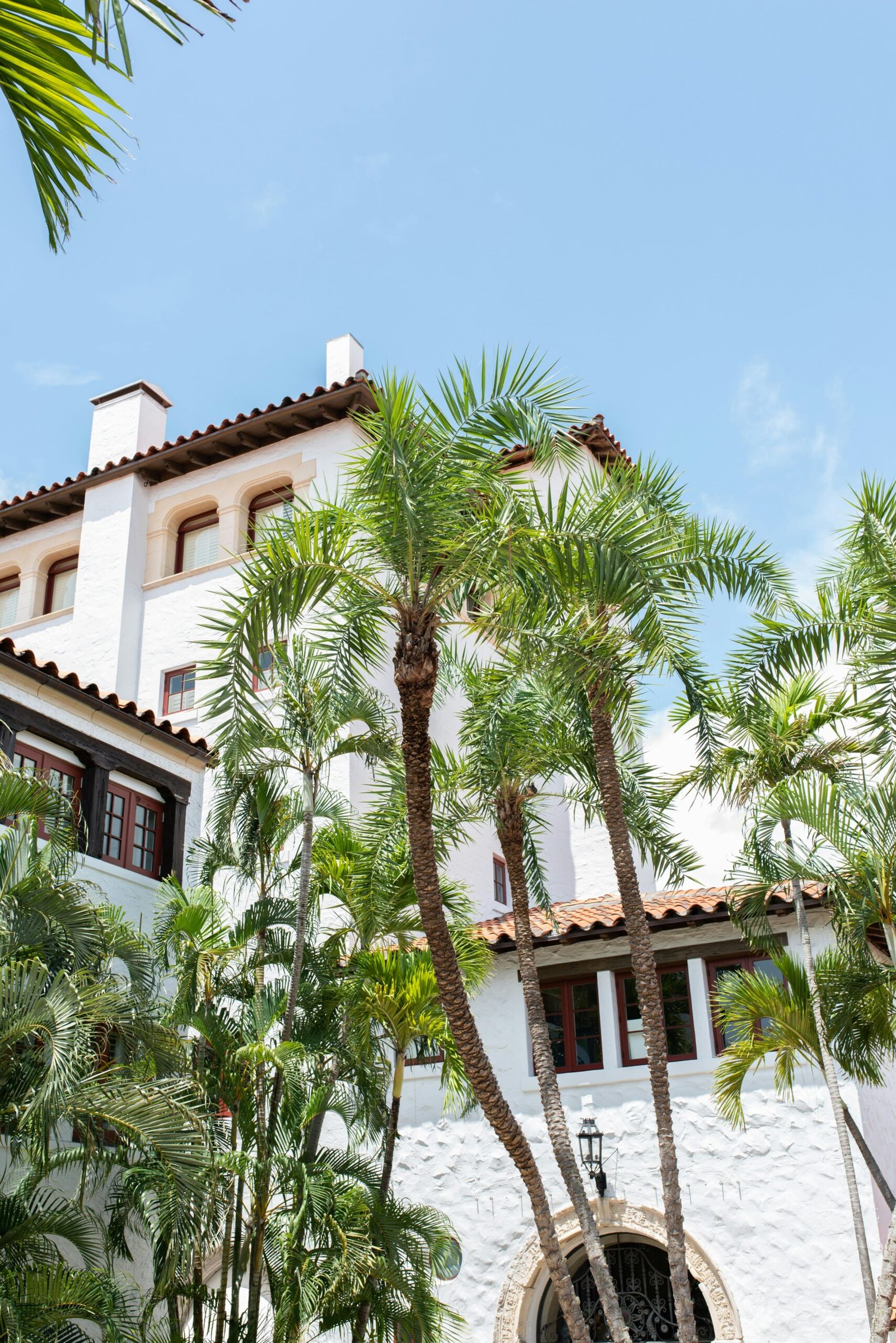 casa blanca con palmeras